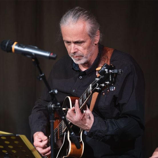 Bild enthält, Guitar, Musical Instrument, Adult, Male, Man, Person, Microphone, Guitarist, Musician, Performer