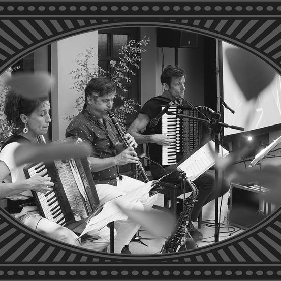 Bild enthält, Adult, Male, Man, Person, Musical Instrument, Microphone, Shoe, Face, Accordion, Speaker