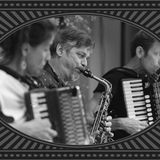 Bild enthält, Adult, Male, Man, Person, Electrical Device, Microphone, Musical Instrument, Face, Head, Accordion