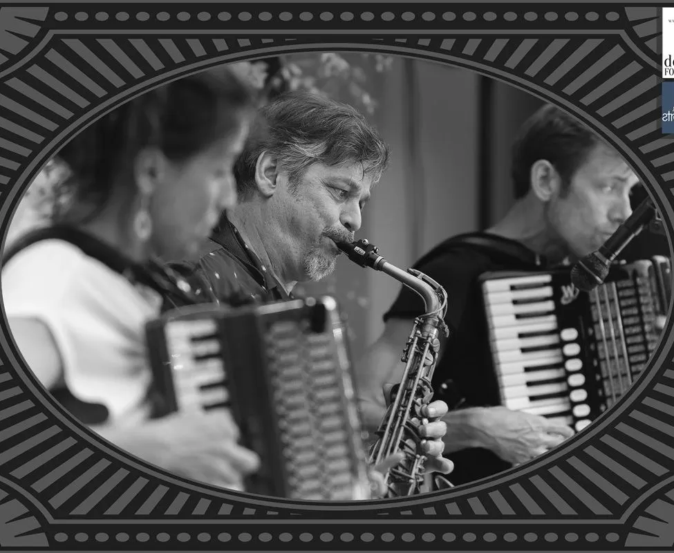 Adult, Male, Man, Person, Electrical Device, Microphone, Musical Instrument, Face, Head, Accordion