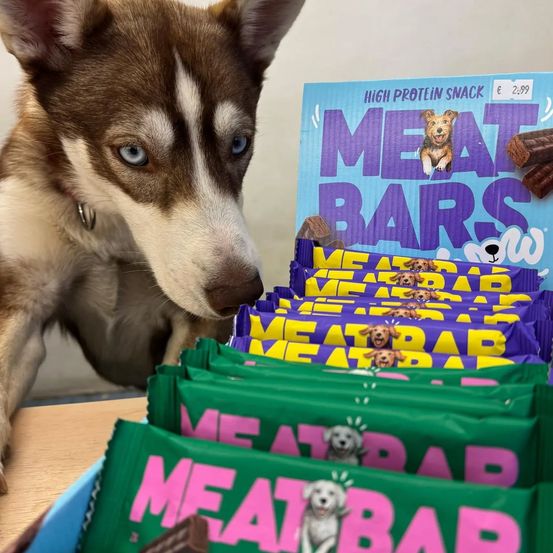 Ein sibirischer Husky-Welpe untersucht eine Ausstellung von hochproteinreichen Fleischriegel. Die Snackverpackung zeigt verspielte Hundeillustrationen und den Text Fleischriegel.