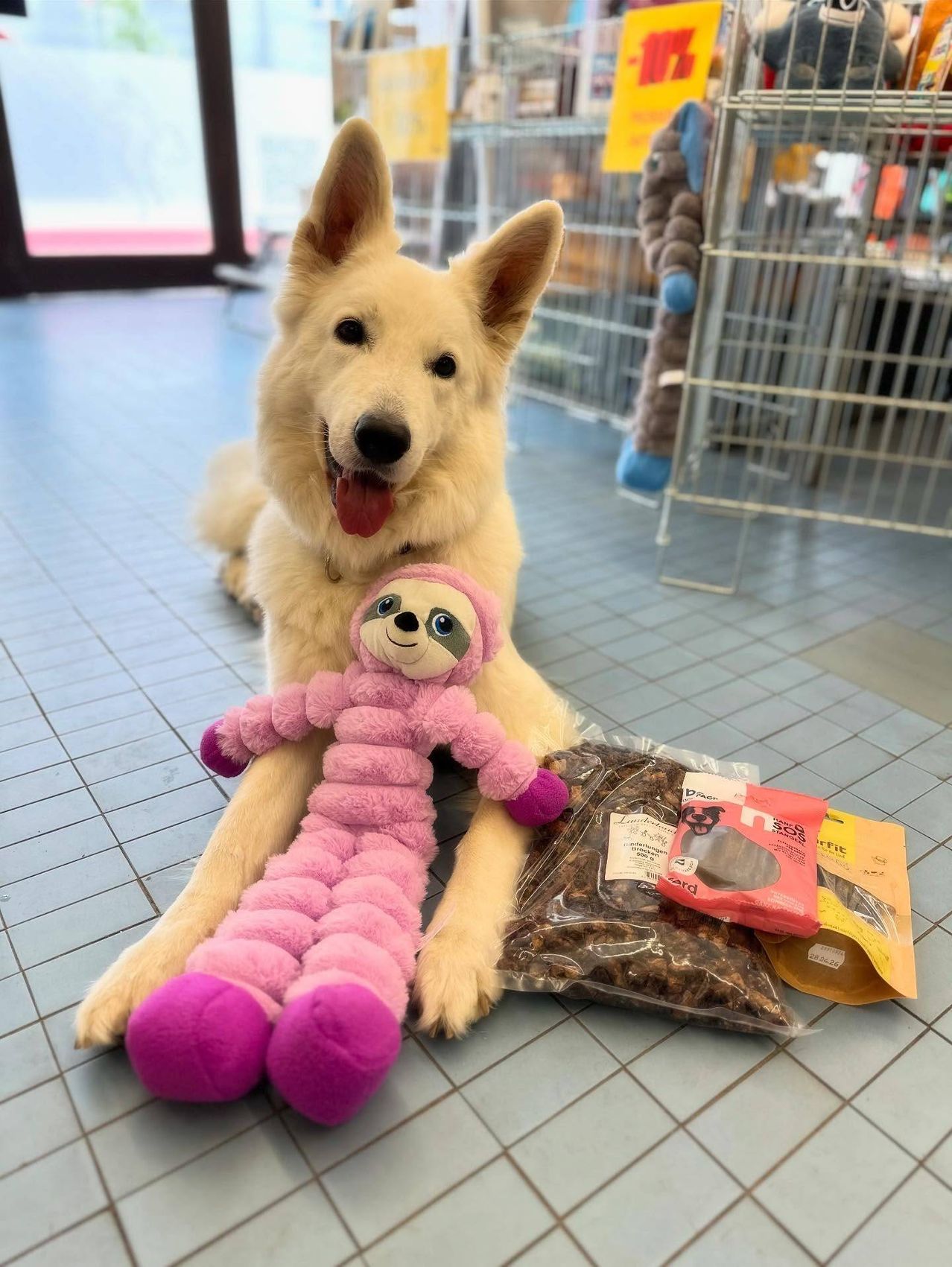 Ein weißer Hund liegt auf dem Boden mit einem rosa Plüschtier und Hundefutter. Der Hund hat ein Halsband und die Zunge herausgestreckt. Das Plüschtier ist ein rosa Faultier. Auf dem Boden liegen zwei Packungen Hundefutter.