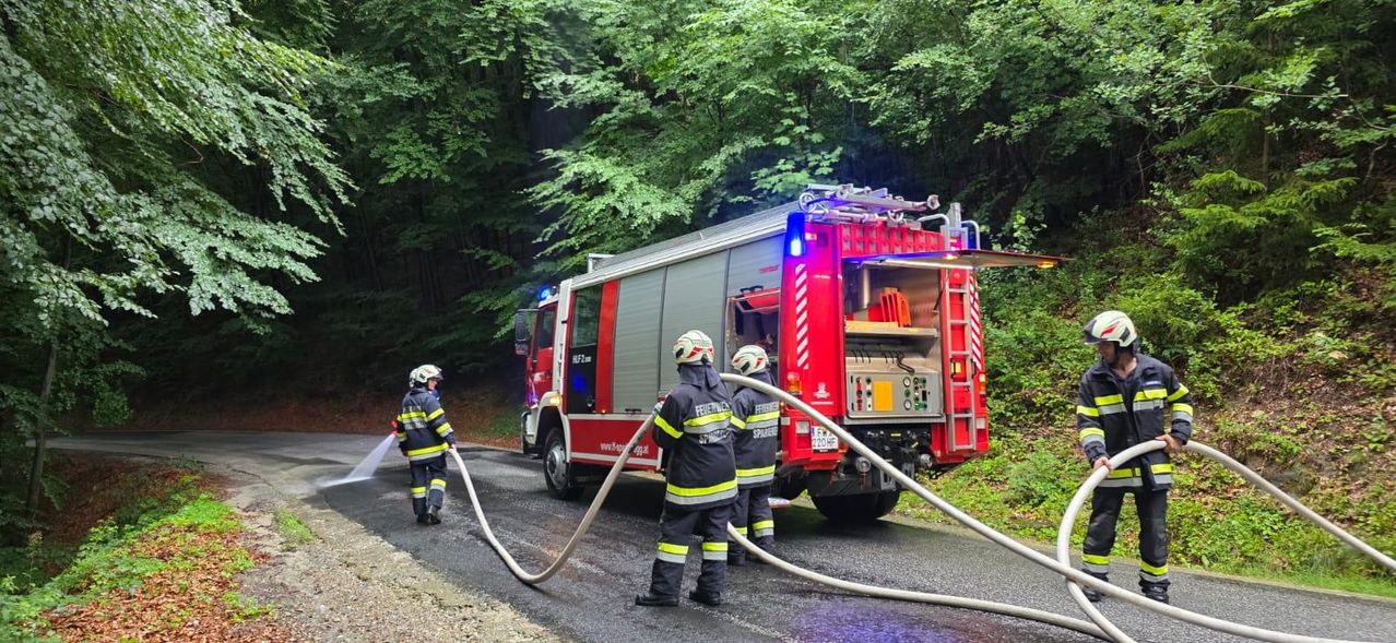 Drei Feuerwehrleute sprühen Wasser von einem Feuerwehrwagen aus mit einem Schlauch in einem Waldgebiet.