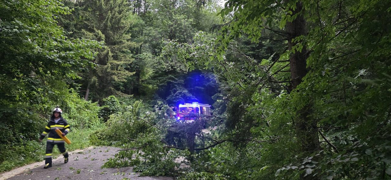 Ein Rettungsfahrzeug mit blauen Blitzlichtern fährt durch einen dichten Wald, wo mehrere Bäume umgestürzt sind und den Weg blockieren.