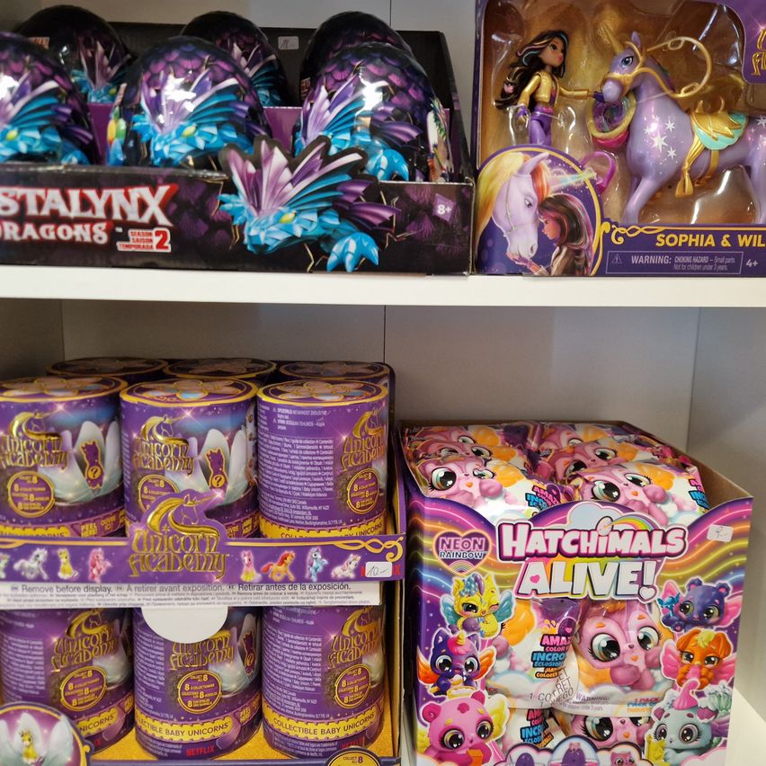 Ein Regal zeigt verschiedene Spielzeugboxen, darunter 'Stalnyx Dragons' und 'Unicorn Academy' mit sammelbaren Einhörnern. Eine andere Box zeigt 'Hatchimals Alive!' mit bunten Spielzeugtieren.