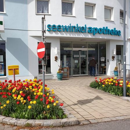 Ein weißes Gebäude mit blauer Beschilderung, die 'seewinkel apotheke' besagt, hat Glastüren und Fenster. Ein Mann steht am Eingang. Bunte Blumen stehen vor dem Gebäude.