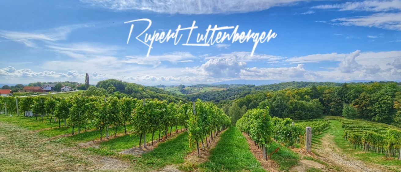 Bild enthält, Nature, Outdoors, Countryside, Rural, Farm, Vineyard, Scenery