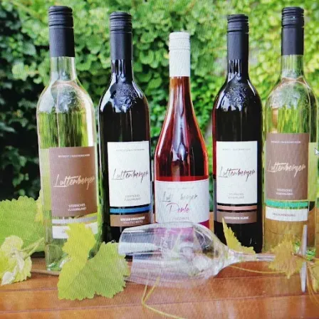 Fünf Weinflaschen mit verschiedenen Etiketten stehen auf einem Holztisch. Ein Weinglas ist leer. Die Weinflaschen stehen auf einem Tisch mit grünen Blättern. Der Hintergrund ist verschwommen mit grünen Büschen.