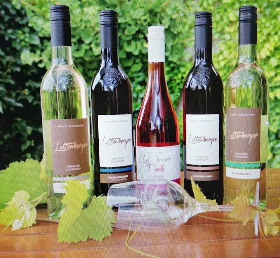 Fünf Weinflaschen mit verschiedenen Etiketten stehen auf einem Holztisch. Ein Weinglas ist leer. Die Weinflaschen stehen auf einem Tisch mit grünen Blättern. Der Hintergrund ist verschwommen mit grünen Büschen.