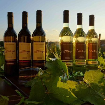 v1_migrated_image_30226470