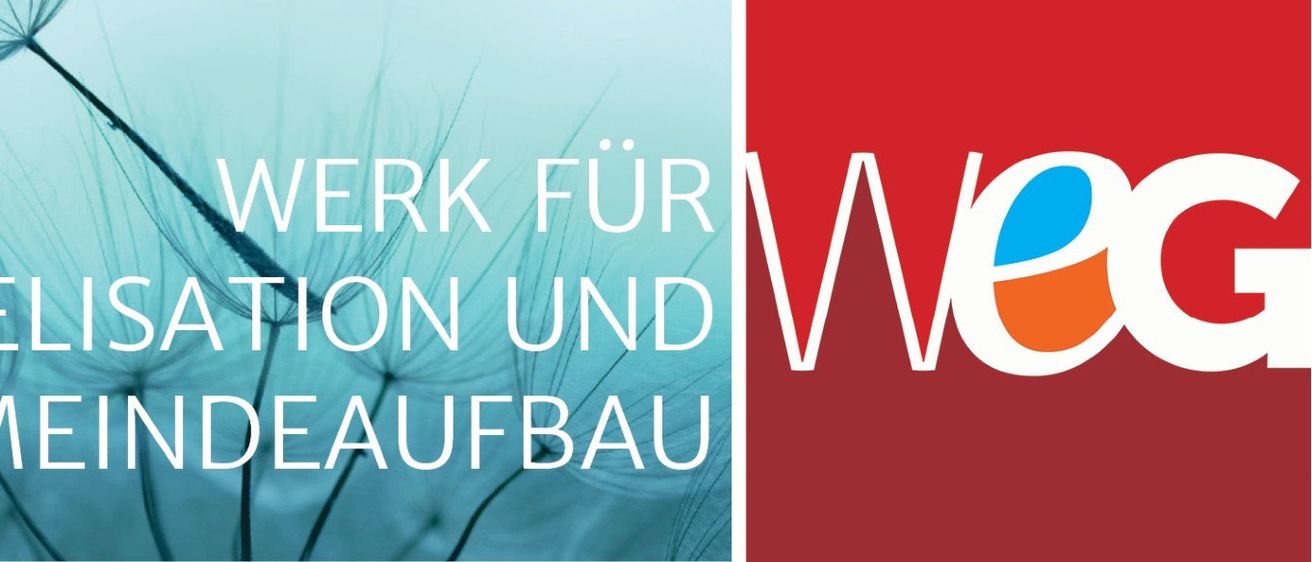 Ein blaues Bild mit weißem Text, das die Worte 'WERK FUER LISATION UND EINDEAUFBAU' mit einem Löwenzahn im Hintergrund zeigt.