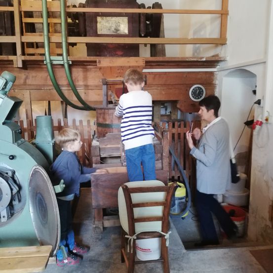 Bild enthält, Plywood, Wood, Factory, Chair, Adult, Male, Man, Person, Boy, Child