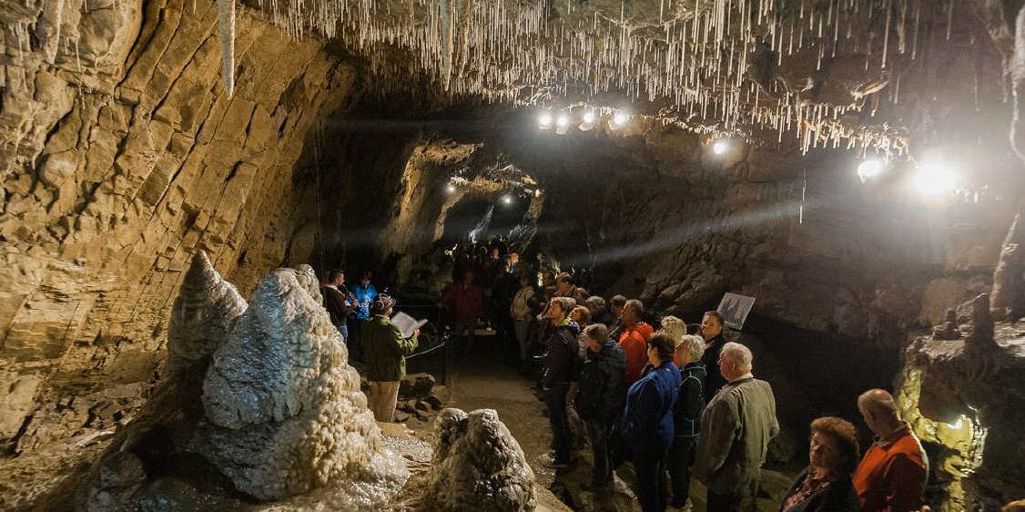 v1_migrated_image_27417643