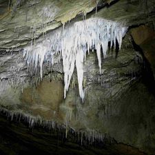 Lurgrottengesellschaft Peggau-Logo