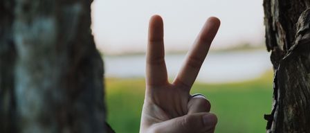 Eine Hand mit Ring macht ein Friedenszeichen durch eine Baumstammöffnung, mit einem Grasfeld und See im Hintergrund.