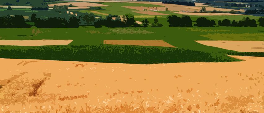 Bild enthält, Agriculture, Countryside, Field, Nature, Outdoors, Scenery, Vegetation, Grassland, Grain, Produce