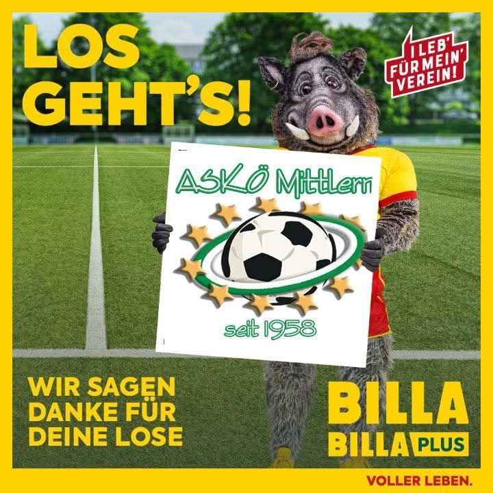 Bild enthält, Advertisement, Poster, Grass, Plant, Person, Ball, Football, Soccer, Soccer Ball, Sport