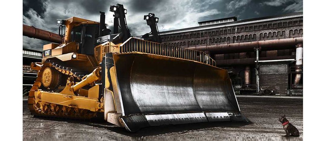 Bild enthält, Machine, Bulldozer, Canine, Dog, Mammal, Pet