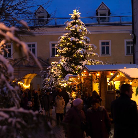 Ein mit Schnee bedeckter und beleuchteter Weihnachtsbaum steht mitten auf einer belebten Straße bei Nacht. Leute gehen herum, einige tragen Mützen und haben Taschen dabei.