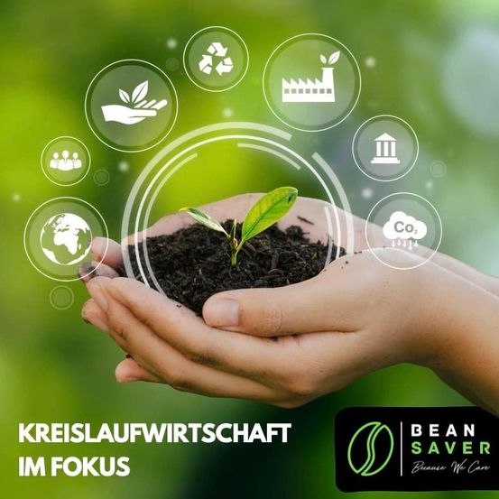 Eine Hand, die eine kleine Pflanze hält, umgeben von kreisförmigen Symbolen, mit Text auf Deutsch 'Kreislaufwirtschaft im Fokus'. Symbole umfassen Recycling, Fabrik, CO2 und andere.