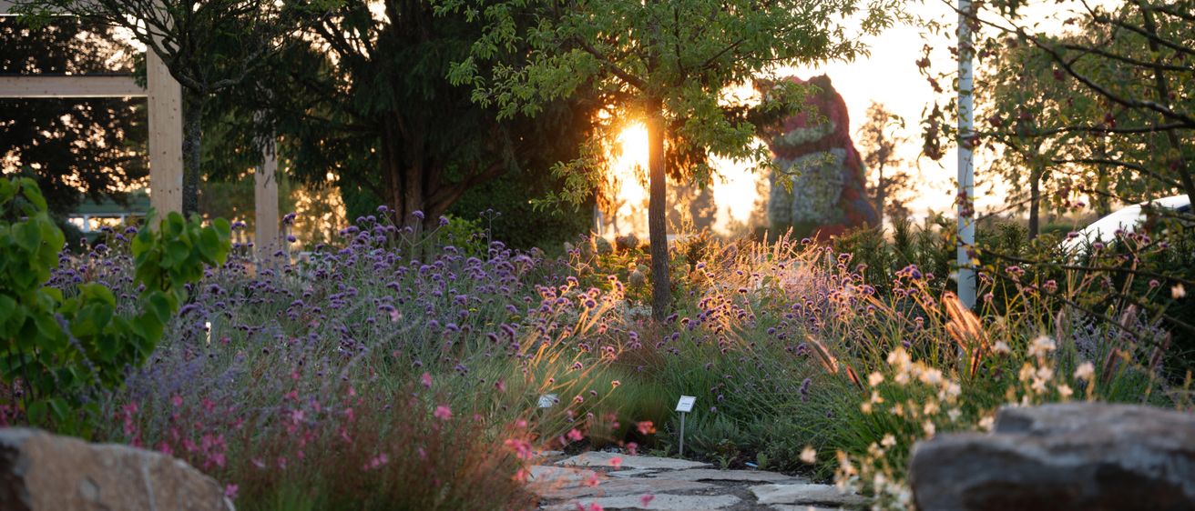 Ein Garten mit einem Steinweg, umgeben von Blumen und Bäumen bei Sonnenuntergang. Eine Felsskulptur im Hintergrund.