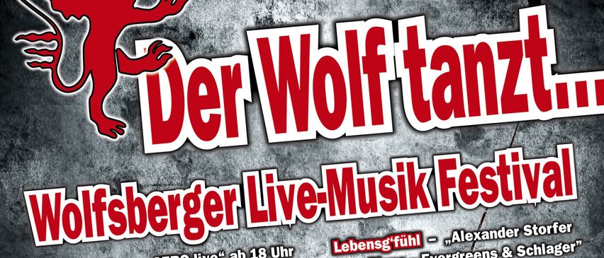 Plakat für Wolfsberger Live-Musik Festival am 14. November 2025. Präsentiert 11 lokale Bands, darunter 'GERO live', 'Dreamcatchers', 'DUPP' und mehr. Genres umfassen Rock, Pop, Jazz und Blues. Beginn um 18:00 Uhr.