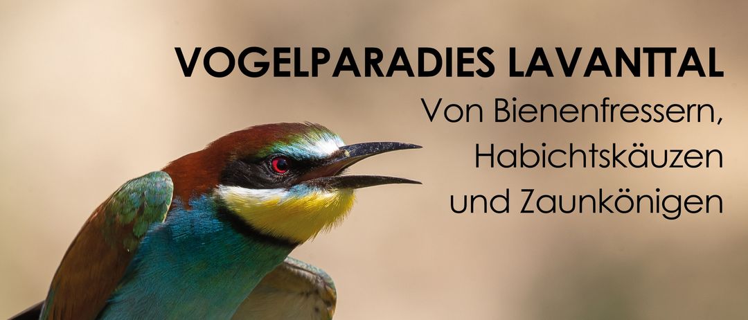 Bild enthält, Animal, Bee Eater, Bird, Advertisement, Poster