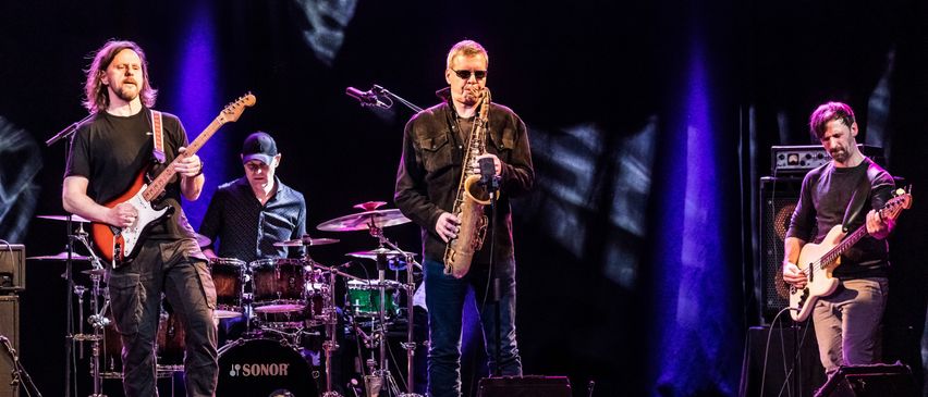 Bild enthält, Concert, Crowd, Person, Group Performance, Music Band, Stage, Adult, Male, Man, Guitar