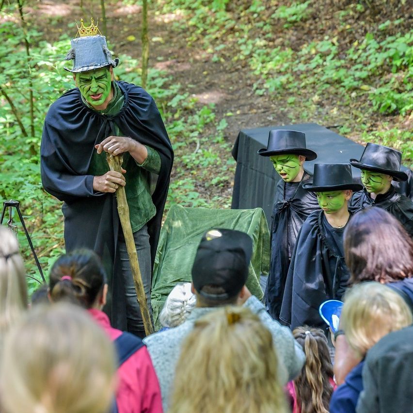 Eine Gruppe von Menschen mit grünen Masken und schwarzen Hüten steht in einem Wald. Ein Mann mit Krone und Stock steht vor ihnen. Viele Menschen beobachten sie.