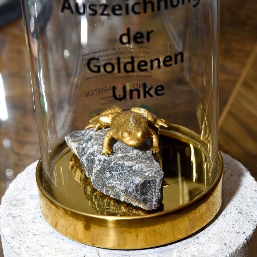 Eine Glaskuppel mit einem goldenen Frosch, der auf einem Stein darin sitzt. Die Kuppel hat ein Etikett mit deutschem Text und eine goldene Basis.