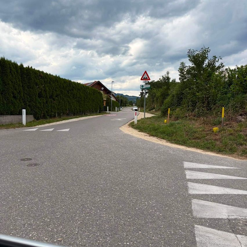 Eine Straße mit einer leichten Kurve, gesäumt von hohen Hecken und Straßenschildern. Ein dreieckiges Warnzeichen ist an einem Pfosten zu sehen. Der Himmel ist bewölkt.