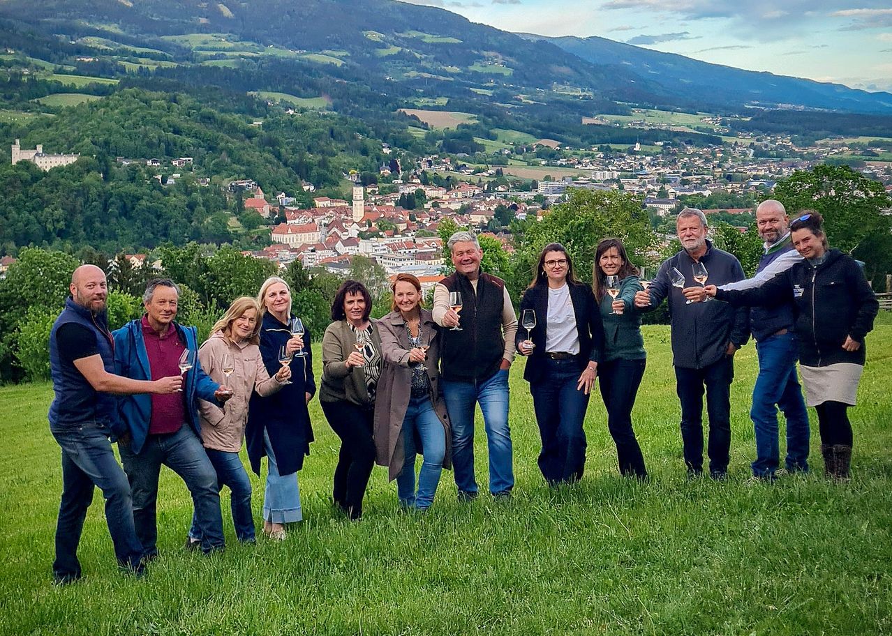 Eine Gruppe von Menschen in Freizeitkleidung steht auf einem Grasfeld und hält Weingläser. Sie blicken auf eine Stadt mit vielen Gebäuden und Bergen im Hintergrund.