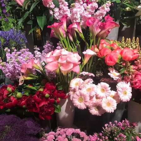 Bild enthält, Flower, Petal, Flower Arrangement, Flower Bouquet, Dahlia, Potted Plant, Rose, Geranium, Nature, Outdoors