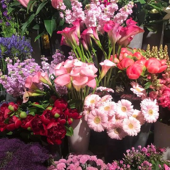 Bild enthält, Flower, Petal, Flower Arrangement, Flower Bouquet, Dahlia, Potted Plant, Rose, Geranium, Nature, Outdoors