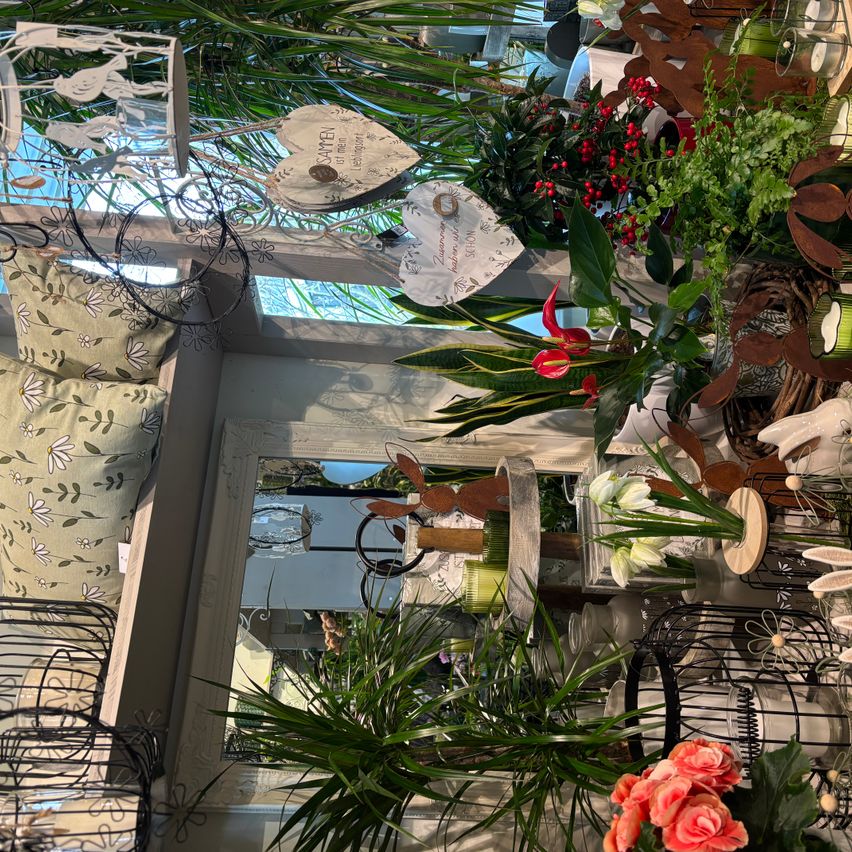 Ein Innengarten mit verschiedenen Pflanzen, Blumen und Dekorationsartikeln, darunter Kissen, herzförmige Ornamente und ein Spiegel.