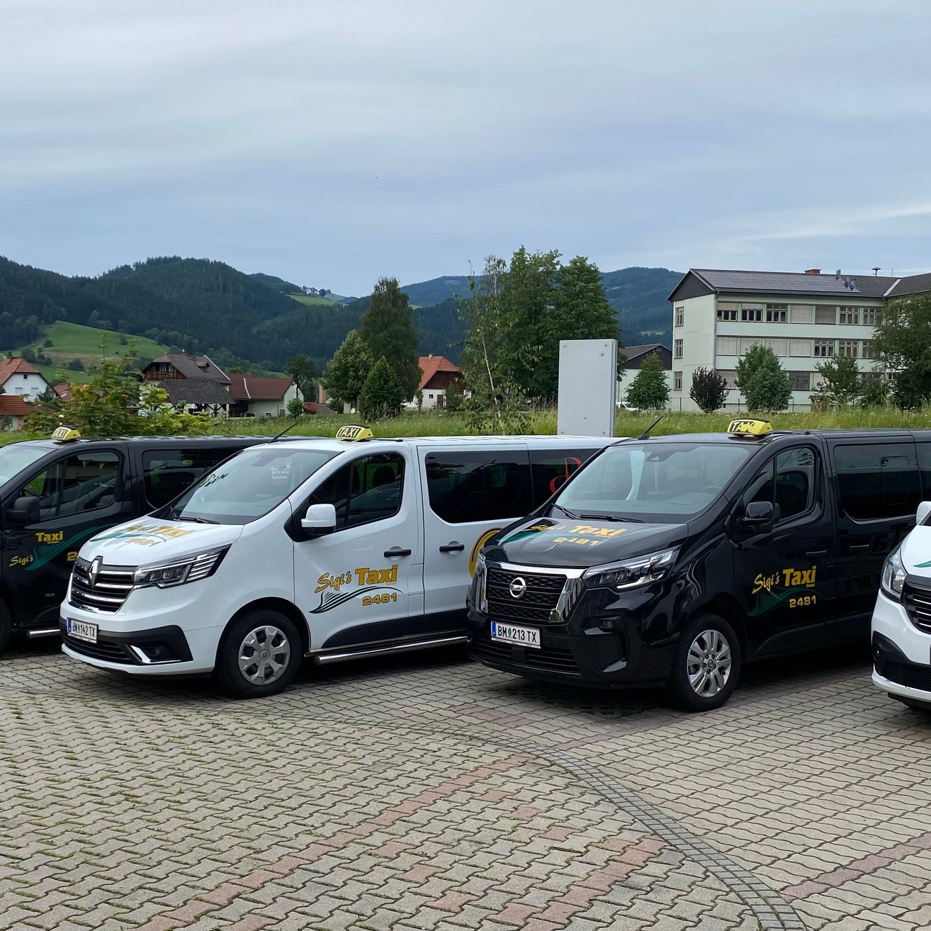 Mehrere Taxis sind in einer Reihe geparkt, mit einer Kulisse aus Bergen, Häusern und Bäumen. Zwei Taxis sind weiß, eines ist schwarz und eines ist teilweise rechts sichtbar.