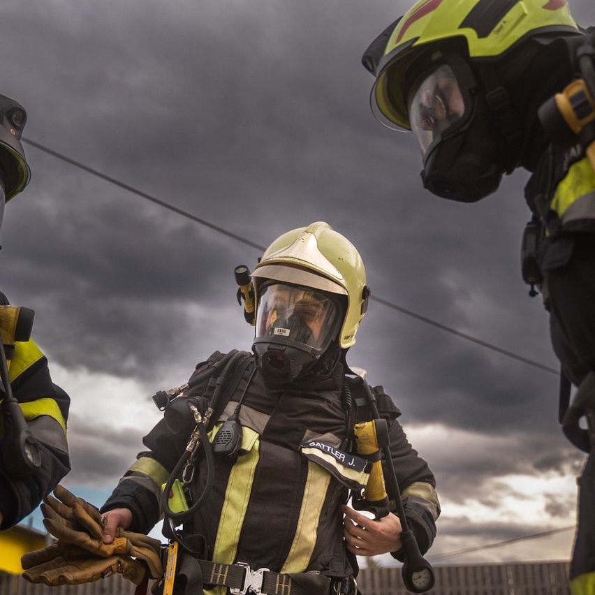 v1_migrated_image_17229846