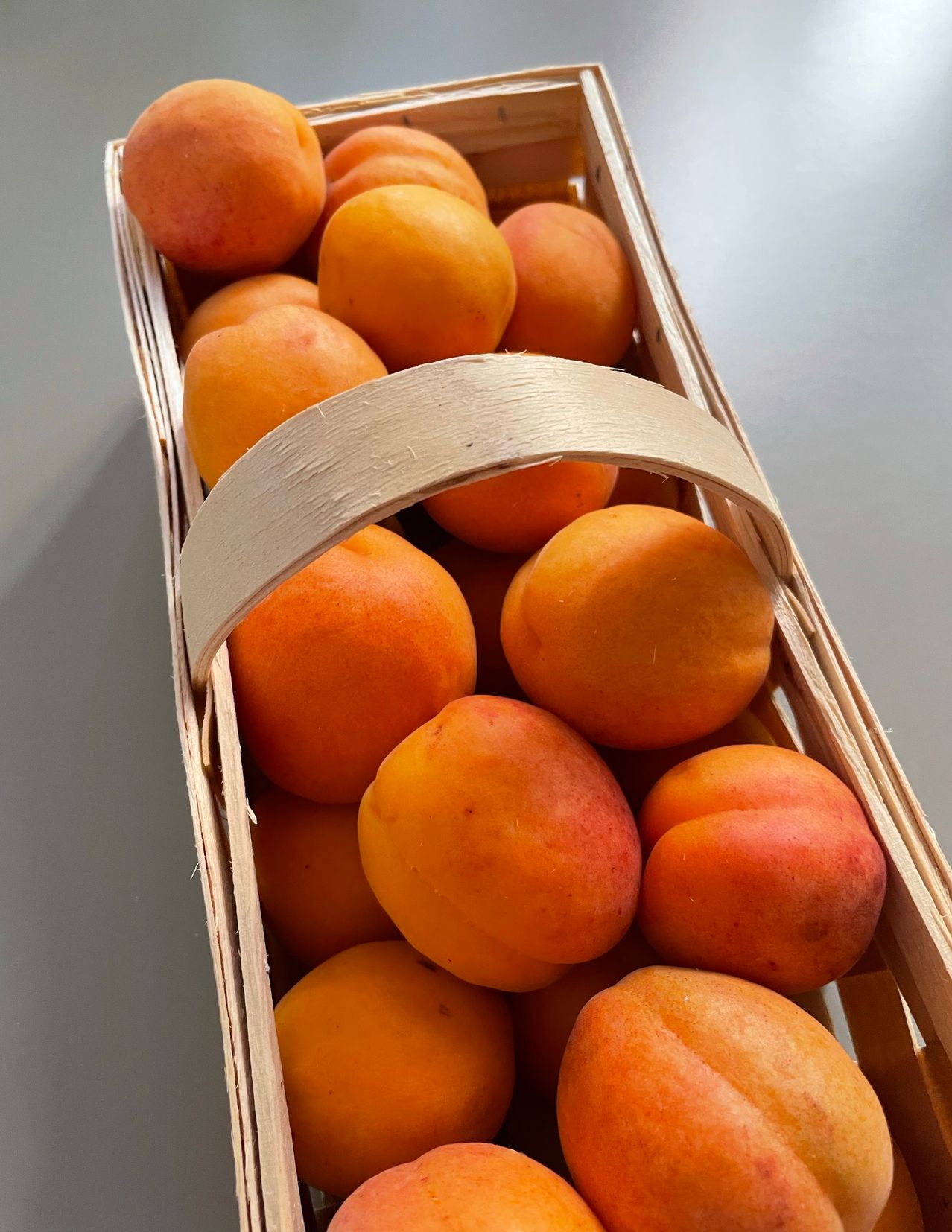 Ein Korb gefüllt mit Aprikosen, die ihre leuchtend orange Farbe und runde Form zeigen. Der Korb hat einen Holzgriff.