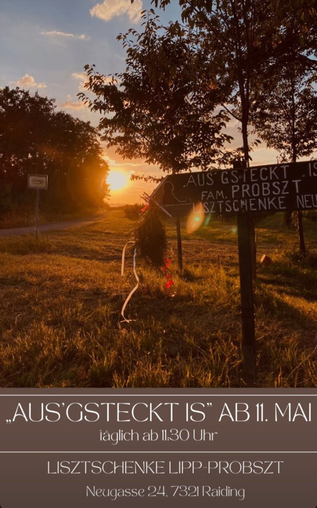 A signpost with 'Aus Gs.Teckt Is Fam.Probszt Lsztschenke Neu' stands in a grassy field at sunset. A small sign is on the left, and a tree is nearby. The sky is orange and yellow.