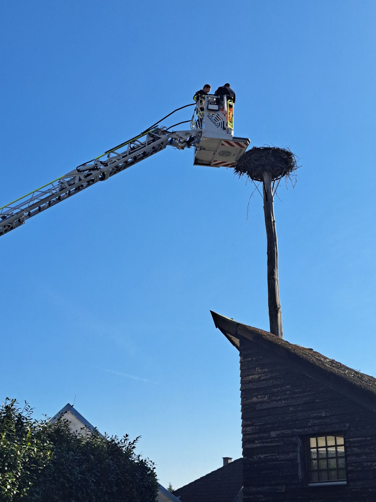 Two firefighters are on a ladder, reaching a tall nest on a building's roof under a clear blue sky.