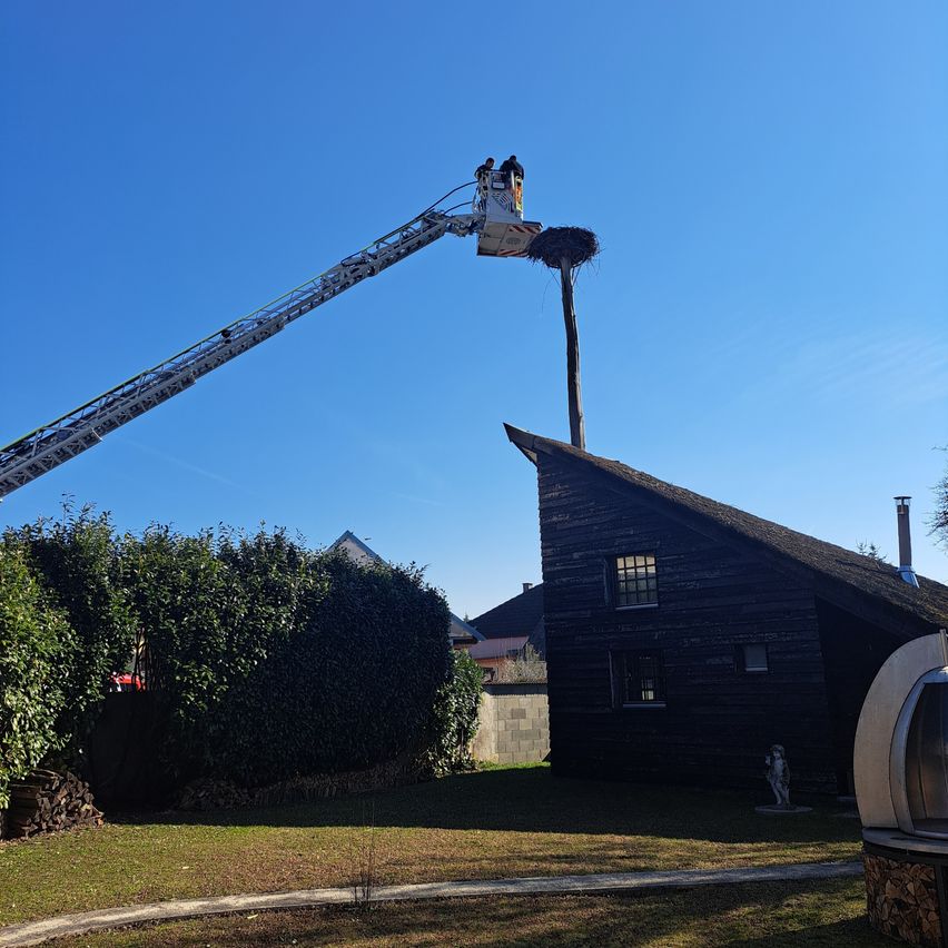 Two individuals on an elevated platform, likely a cherry picker, near a tree with a nest, beside a house, with a clear sky above.