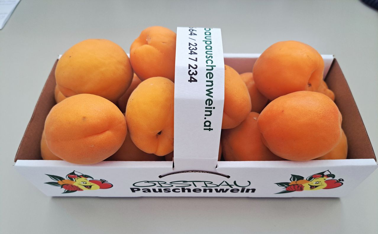 A white box filled with ripe apricots, labeled with a white tag reading 'Obstbau Pauschenwein' and a phone number.