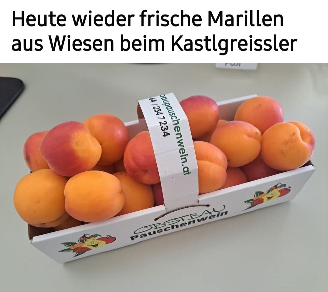 Eine Schachtel frische Aprikosen, beschriftet mit einem Preisschild und dem Namen eines lokalen Weinproduzenten. Die Aprikosen sind in einer ordentlichen Reihe angeordnet, und die Schachtel ist auf einer weißen Oberfläche platziert.