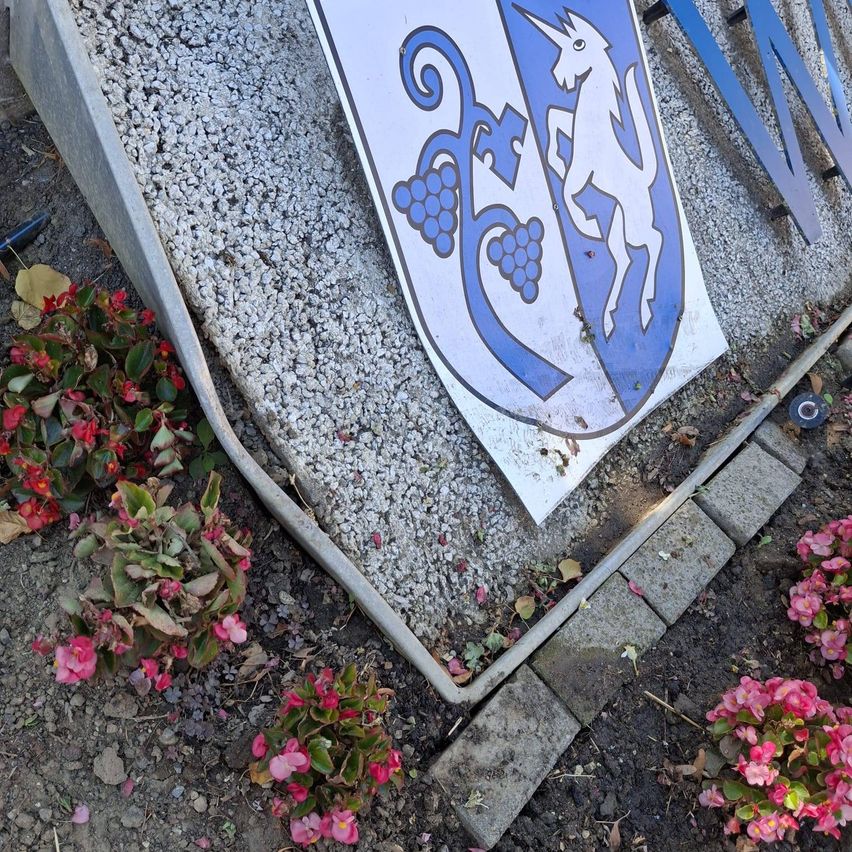 Wappen mit Einhorn und Weintrauben, umgeben von Blumen und Kies