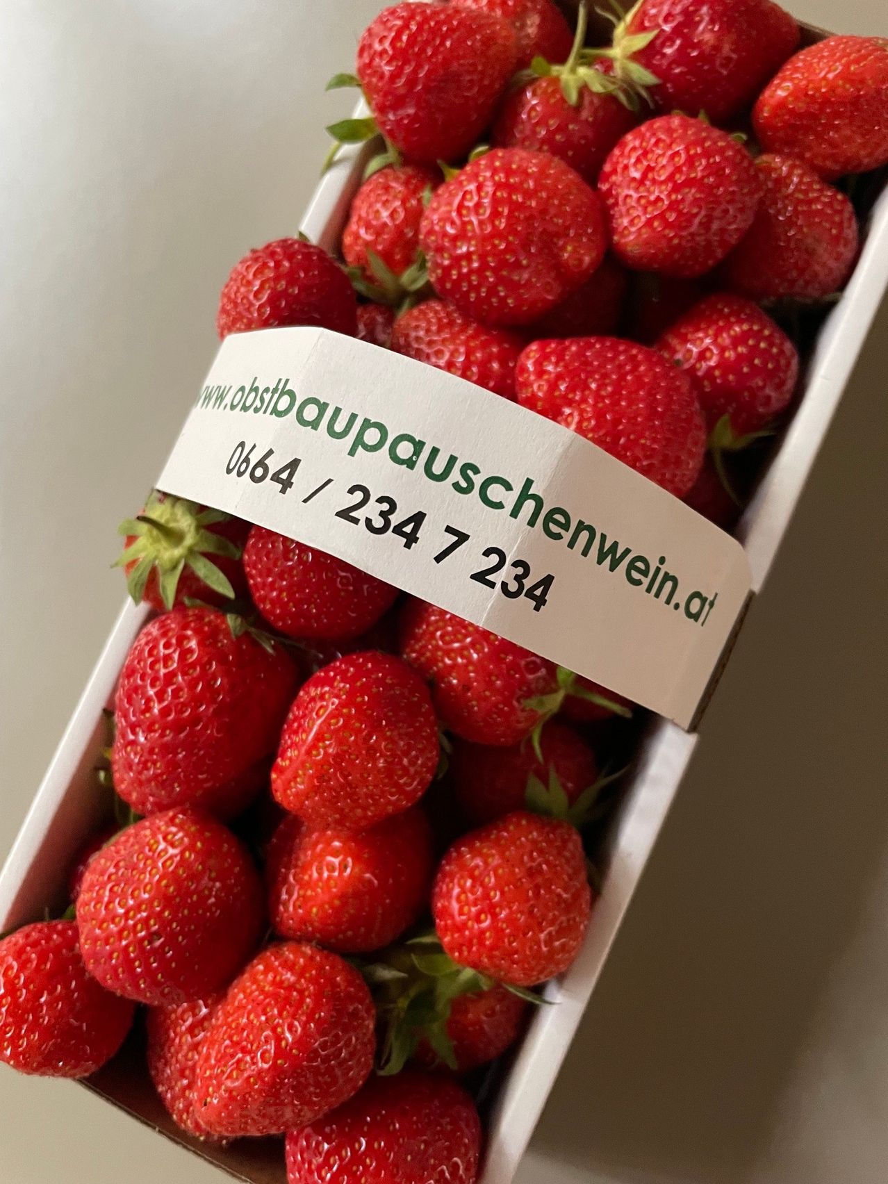 Eine Schachtel Erdbeeren mit einem Etikett, das www.obstbauschenwein.at 0664/234 7 234 liest. Die Erdbeeren sind rot und frisch.