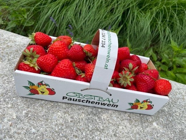 Eine Box mit reifen roten Erdbeeren mit einem weißen Etikett, das Obstbau Pauschenwein auf einer Steinoberfläche liest.