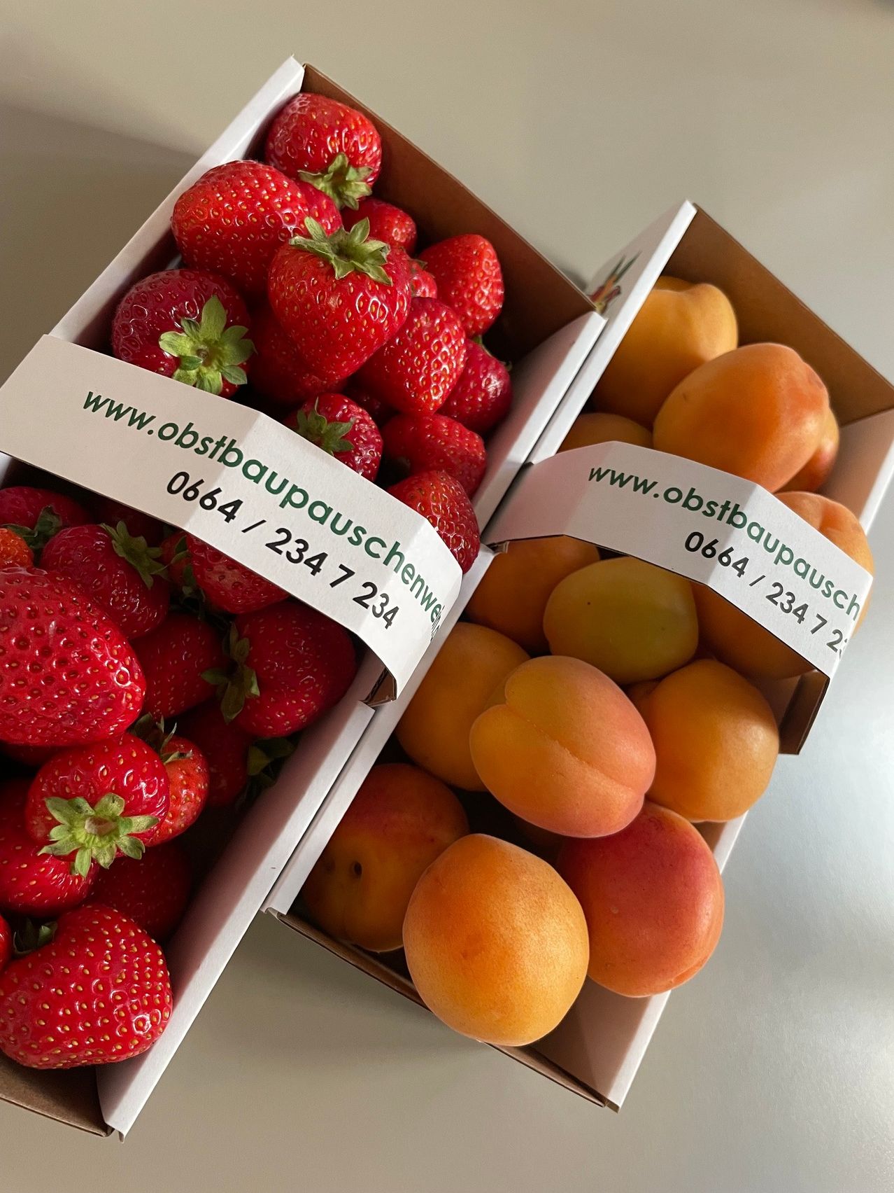 Zwei Schachteln mit frischen Erdbeeren und Aprikosen sind abgebildet. Eine Schachtel hat ein weißes Etikett mit einer Website und einer Telefonnummer. Die andere Schachtel hat ein ähnliches Etikett.