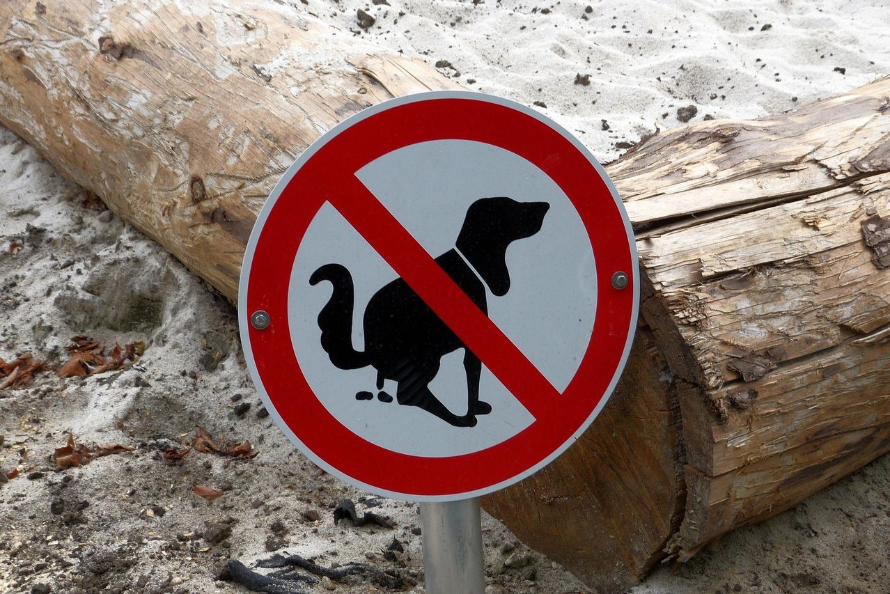 Ein Schild mit einem roten Kreis und einem Strich, der ein Verbot anzeigt. Das Schild zeigt eine schwarze Silhouette eines Hundes mit Halsband, was darauf hindeutet, dass es sich um ein Schild für kein Haustier handelt.
