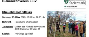 Bild enthält, Advertisement, Poster, Person, Walking, Vegetation, Coat, Outdoors, Jacket, Car, Jeans