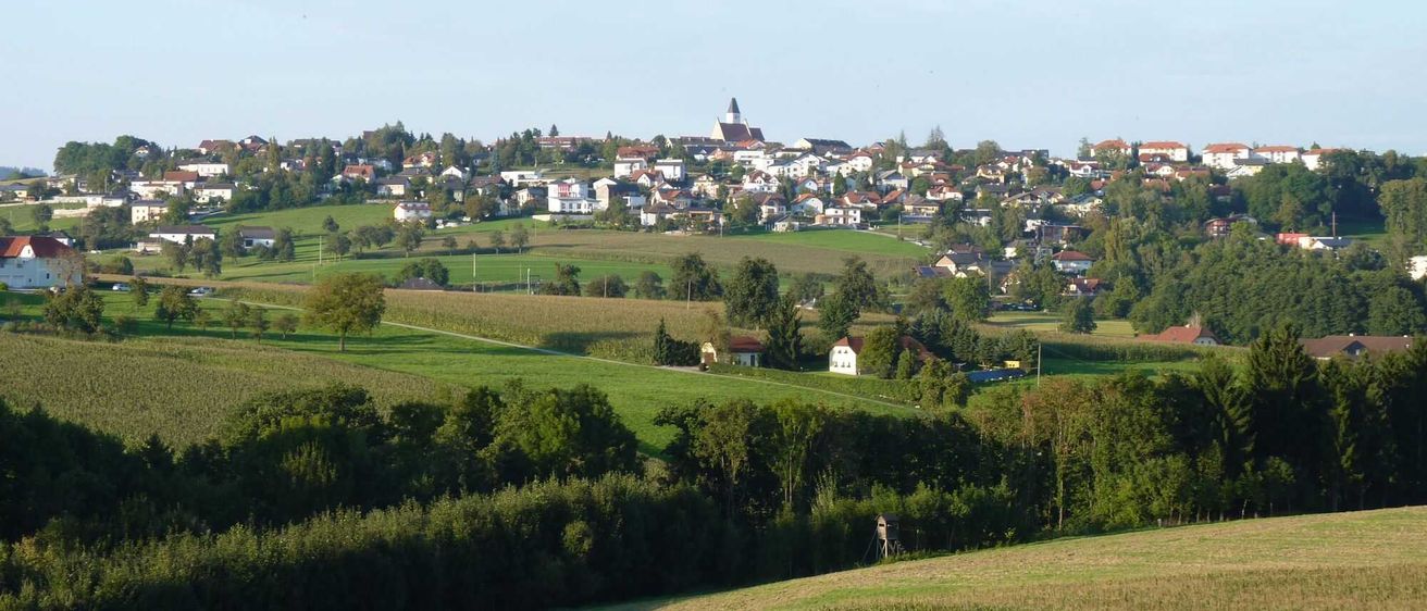 Bild enthält, Outdoors, Nature, Countryside, Rural, Tree, Scenery, Field, Grass, Land